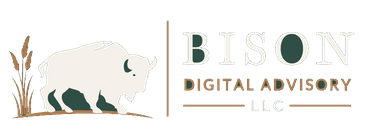 Bison Digital Advisory